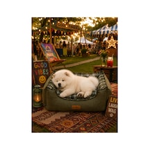 Premium Kedi Ve Köpek Yatağı Kafa Destekli Kaydırmaz Taban Yıkanabilir Fermuarlı Çift Taraflı Minder %100 Boncuk Elyaf Yeşil - 879042657