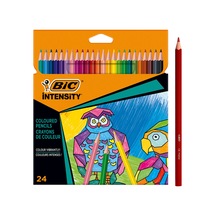 Bıc Color Up Üçgen Kuru Boya 24 Lu