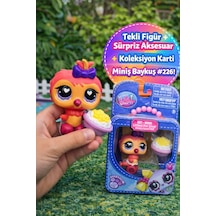 Littlest Pet Shop Seri 4 Tekli Figür Miniş Baykuş 226 Sürpriz Aksesuarlı Koleksiyonluk Oyuncak Özel