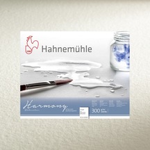 Hahnemühle Harmony Rough Suluboya Kağıdı 300 Gr. 50X65 Cm. 10'Lu (303303462)