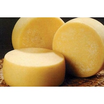 Kars Taze Kaşarı Kalıp 1800 G - 2000 G