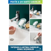 Çok Renkli