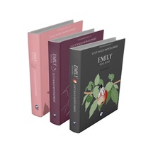 Rüzgarın Kızı Emily Serisi Seti - 3 Kitap Takım - Lucy Maud Montgomery - Cem Yayınevi