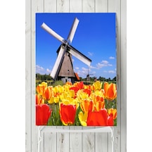 Hollanda Manzara Posteri