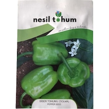 Biber Tohumu Dolma Atalık Tohum 3 Paket