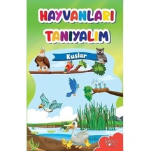 Muhteşem Çizimler Ve Kolay Anlatım İle Hayvanları Tanıyalım Kuşlar