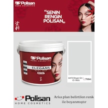 Polisan Yıkanabilir Küf Tutmayan Extra Elegans Boya 2.5 L