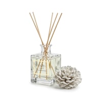 Lucille Chakra Jasmin Oda Kokusu 500 Ml Bambu Çubuklu
