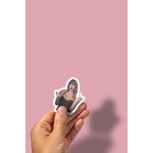 Taylor Swift Sticker Paketi /bullet Journal Defter Çıkartma Ajanda Laptop Etiket Diğer