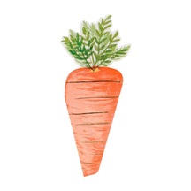 Meri Meri - Carrot Napkin - Havuç Peçeteler - 16'lı