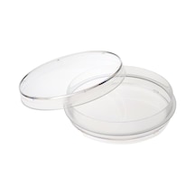Cam Petri Kabı Kutusu 80x15 Mm
