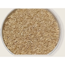 Yulaf Tohumu Kuş Yemi 500 Gr