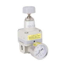 Ir1010-01 Pnömatik Hassas Regülatör 0,1-4 Bar 1/8