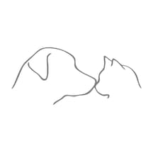 Kedi Ve Köpek Sticker 17x17 Cm Gri