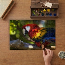Kızıl Ara Papağanı Tasarımı 240 Parça Ahşap Puzzle Ahşap Kutuda Mpy60105