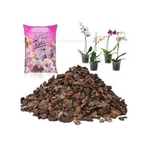 0.1 KG