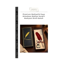 Premium Hediyelik Eşya Arkadaşa Hediye Sevgili Hediyesi Divit Kalem