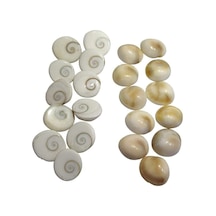 Yılancık Taşı (Erkek) 25 Adet