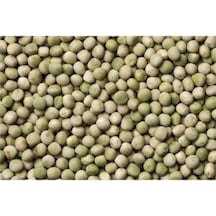 Yem Bezelyesi Tohumu Külür 100 GR N115042