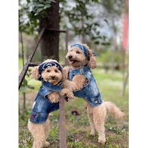 Salya Store Tickle Me Jeans Yazlık Köpek Kot Ceket Küçük Irklar