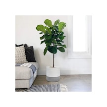 Dekoratif Jüt Hasır Saksılık Havluluk Organizer 30x30 Cm Gri Gri