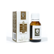 Panlife Çam Terebentin Yağı 15 ML Panlife Çam Terebentin Yağı 15 ML