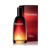 Chrıstıan Dıor Fahrenheıt Homme 100 Ml Diğer Fresh