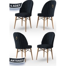 Canisa Ritim Serisi, 1.sınıf Babyface Kumaş Doğal Ahşap Ayak Gold Halkalı 4 Adet Antrasit Sandalye Sandalye Antrasit Ayaklar Doğal Ahşap