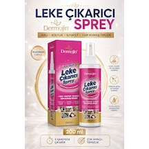Platinum Çok Amaçlı Leke Çıkarıcı 250 ML