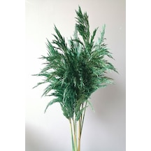 Büyük Demet Pampas Zümrüt Yeşil 100cm Boyunda 8'li