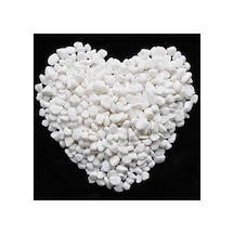 Ekodoğa Beyaz Dolomit Taş 2 Kg 1-2 Cm Dere Taşı Çakıl Taşı