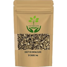 Deve Dikeni Tohumu 40gr