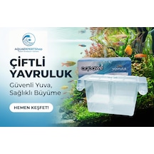 Aquawe Çiftli Yavruluk - Şeffaf Tasarım - 19,5 X 10 Cm - Şeffaf Vantuzlu - Sağlam Yapı - Balıklar İçin Güvenli