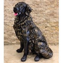 By Ari Golden Köpek Bahçe Dekoru Bd318-1 Diğer