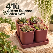 4'lü Alttan Sulamalı Saksı Seti