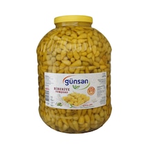 Günsan Biberiye Turşusu 10 KG