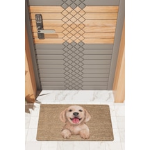 Rugmood Modern Dijtal Baskı Köpek Resimli Kapı Önü Paspası Çok Renkli