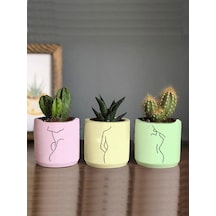 Pastel Renkli Minimalist Kadın Çizimli 3lü Set Kaktüs Ve Sukulent Saksısı Hediyelik Çiçeksiz
