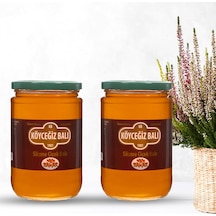 Köyceğiz Balı Çiçek Balı Cam Kavanoz 2 x 850 G