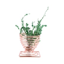 Lebihmurah 3942 Twexqny Hava Tesisi Havai Dikim Standı Saksı Bitki Vitrin, Canlı Tropikal Bitkiler, 12 Parça, Gül Altın