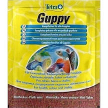 Tetra Lepistes Yemi Guppy 12gr