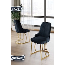 Canisa Puva Serisi 4 Adet Antrasit Sandalye 1.sınıf Babyface Ithal Kumaş Gold Metal Ayaklı Sandalyeler Antrasit Ayaklar Gold