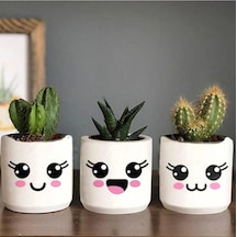 Kedi Desenli Saksı Çiçeksiz - Küçük Boy Sukulent Saksısı Çizim