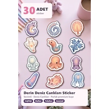 30 Adet Keçe Pelüş Deniz Canlıları Sticker Seti - Laptop, Defter, Telefon Kılıfı Çok Renkli