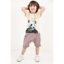 Toontoy Kids Toontoy Erkek Çocuk 2'li Takım Baskılı Bisiklet Yaka Tişört & Beli Lastikli Cepli Şort Bej