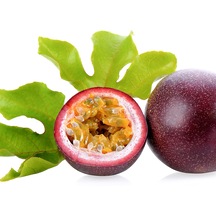 Maruçya Fidanı Saksıda Mor Meyveli Çarkıfelek Passiflora Edulis Red Rover 80-100 CM
