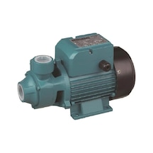 Momentum Atm80 / Sürtme Fanlı Pompa 1 Hp 220 V