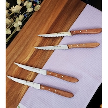 Mutfak Bıçak Seti Steak 4'lü Et Kahvaltı Yemek Bıçağı Gül Dalı
