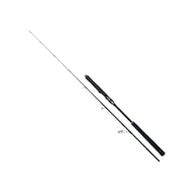 Ryuji Seawolf 198 Cm 30-150g Aksiyonlu Jig Kamışı