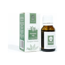 Panlife Okaliptus Yağı 15 ML